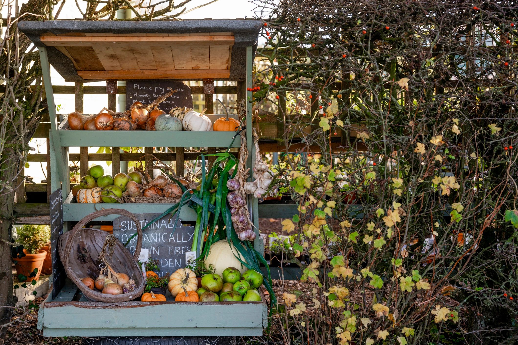 Organic vegetable stall with fresh produce on display